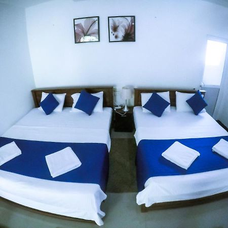 Mirissa Blue Whale Holiday Hotel エクステリア 写真