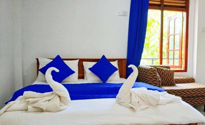 Mirissa Blue Whale Holiday Hotel エクステリア 写真