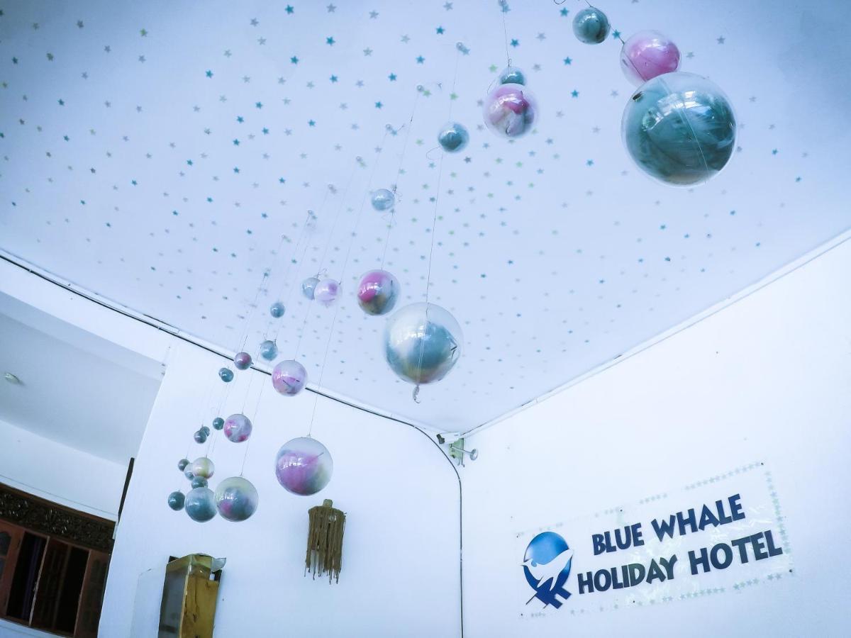 Mirissa Blue Whale Holiday Hotel エクステリア 写真
